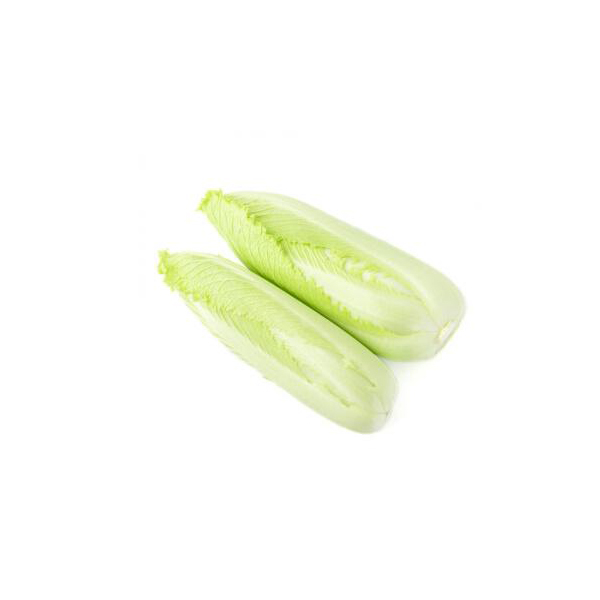 绍菜 